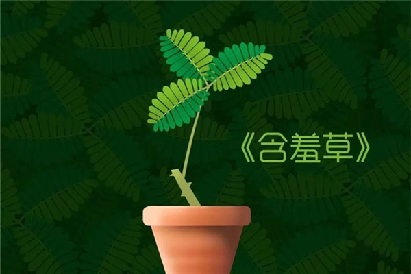 含羞草传媒实验所，在线观看的奇妙世界-第1张图片