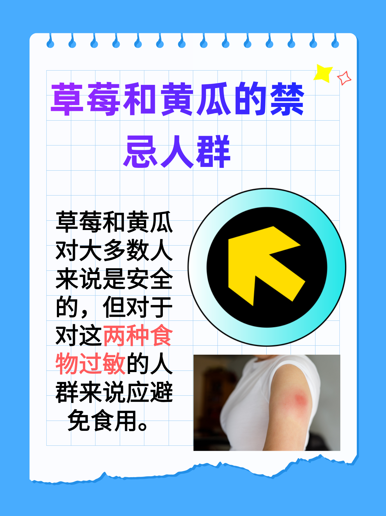 五彩缤纷的田园盛宴——向日葵、西瓜、黄瓜、丝瓜与葫芦的交响曲