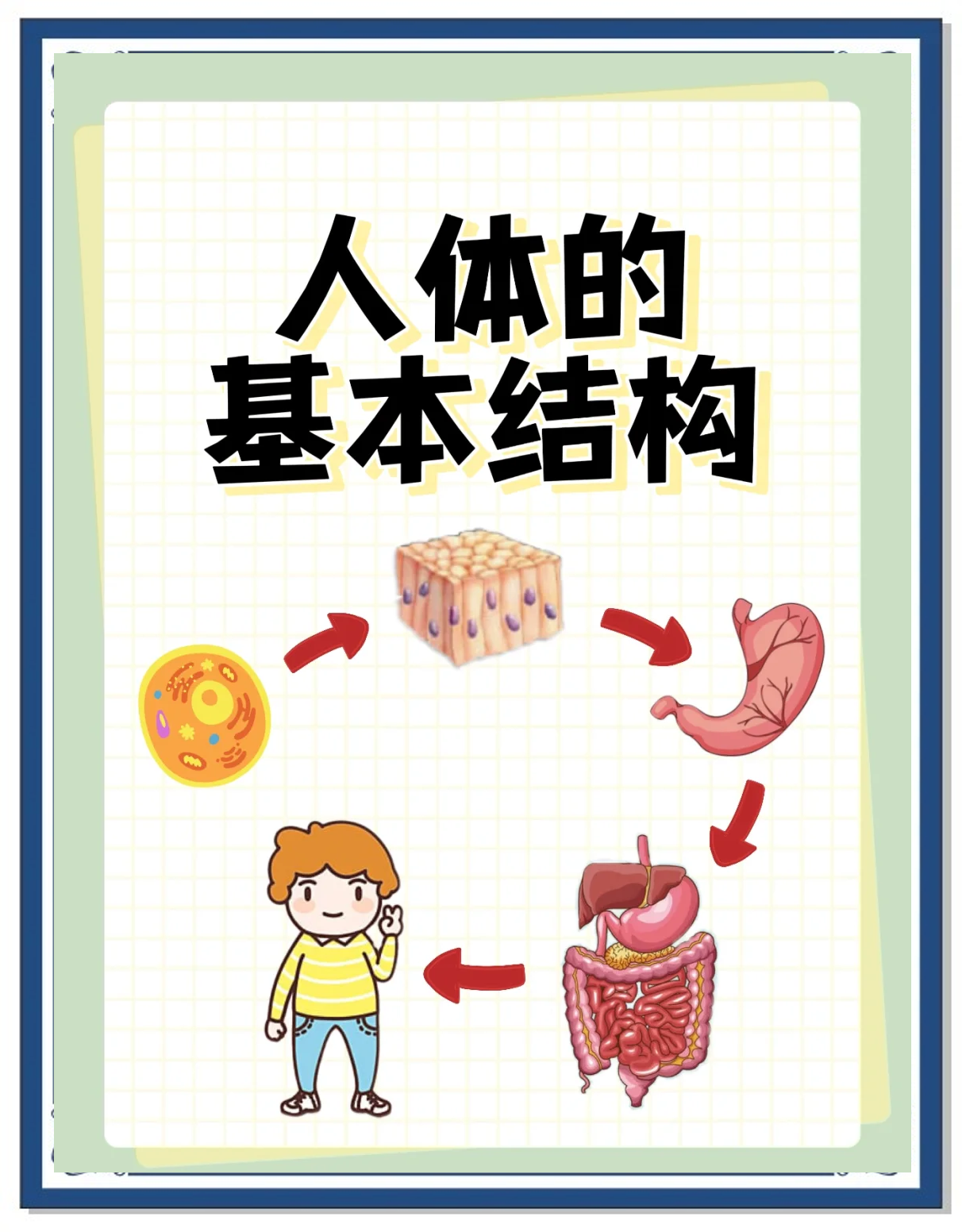 探索Japonensis的奥秘，从20到25的深度解析