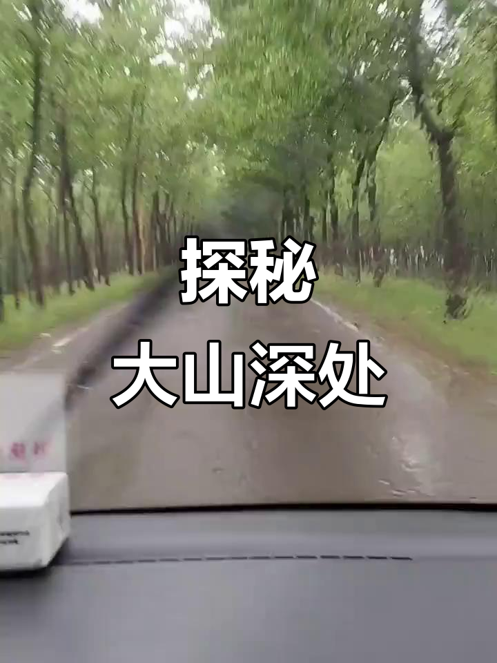 探索JAPONENSIS的魅力，JAVAHDTV365的科技之旅-第2张图片