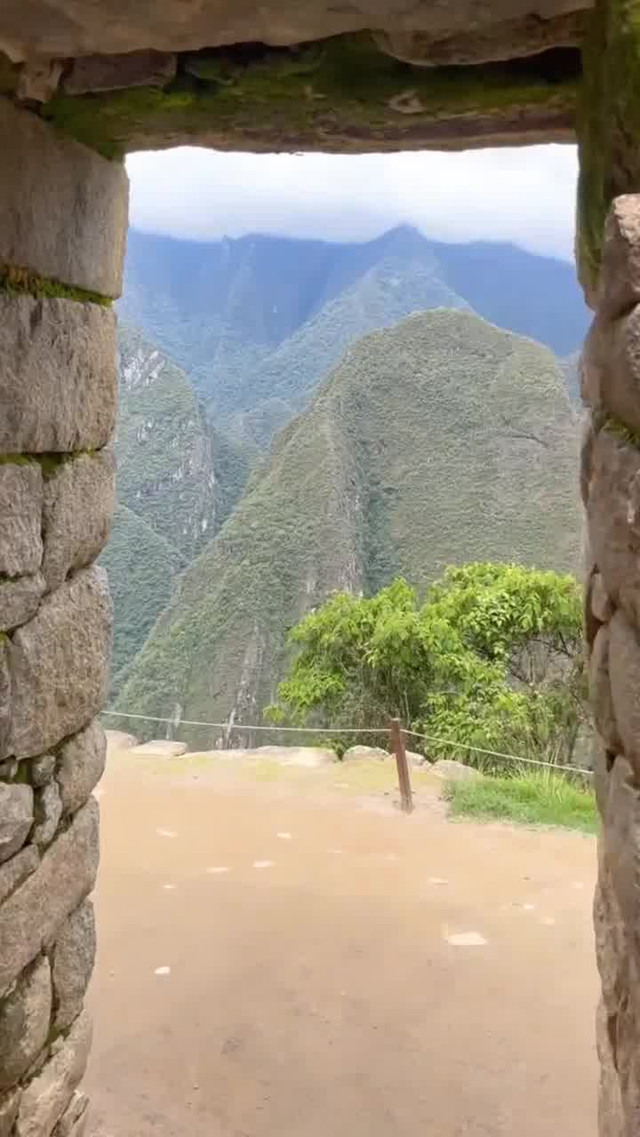 护士的秘密激情，高潮的旅程