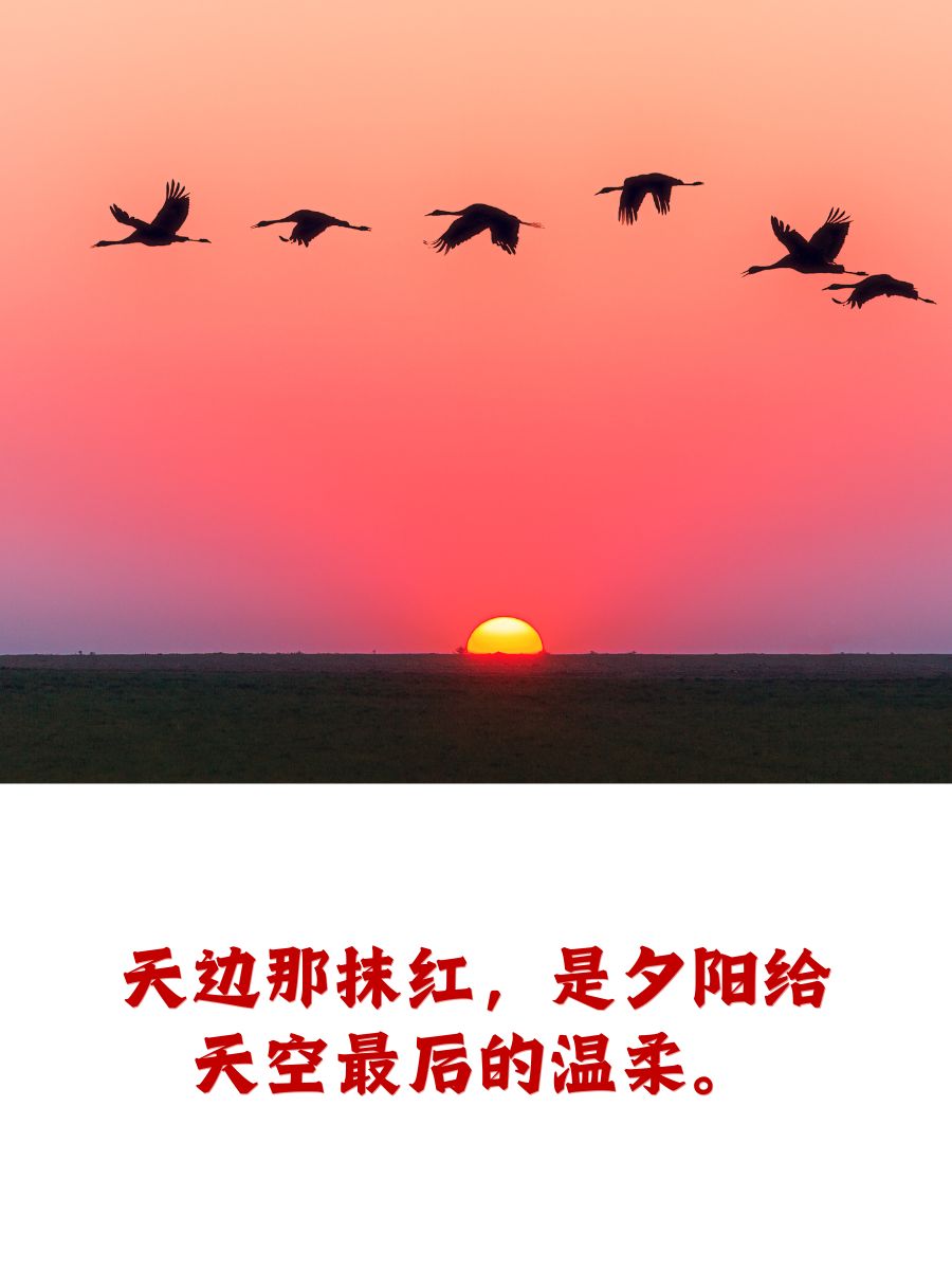 漫天空漫天空下的诗意世界-第2张图片