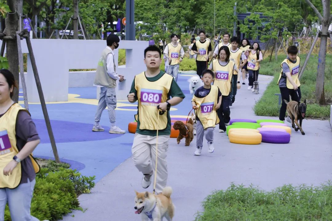 gogogo高清在线播放免费观看如果奔跑是我的人生韩剧GOGOGO高清在线播放，免费观看的全新体验-第2张图片