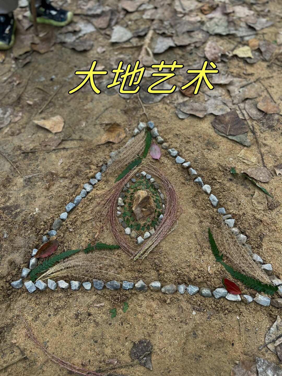 探索大地资源，中文在线观看官网第二页的丰富内容
