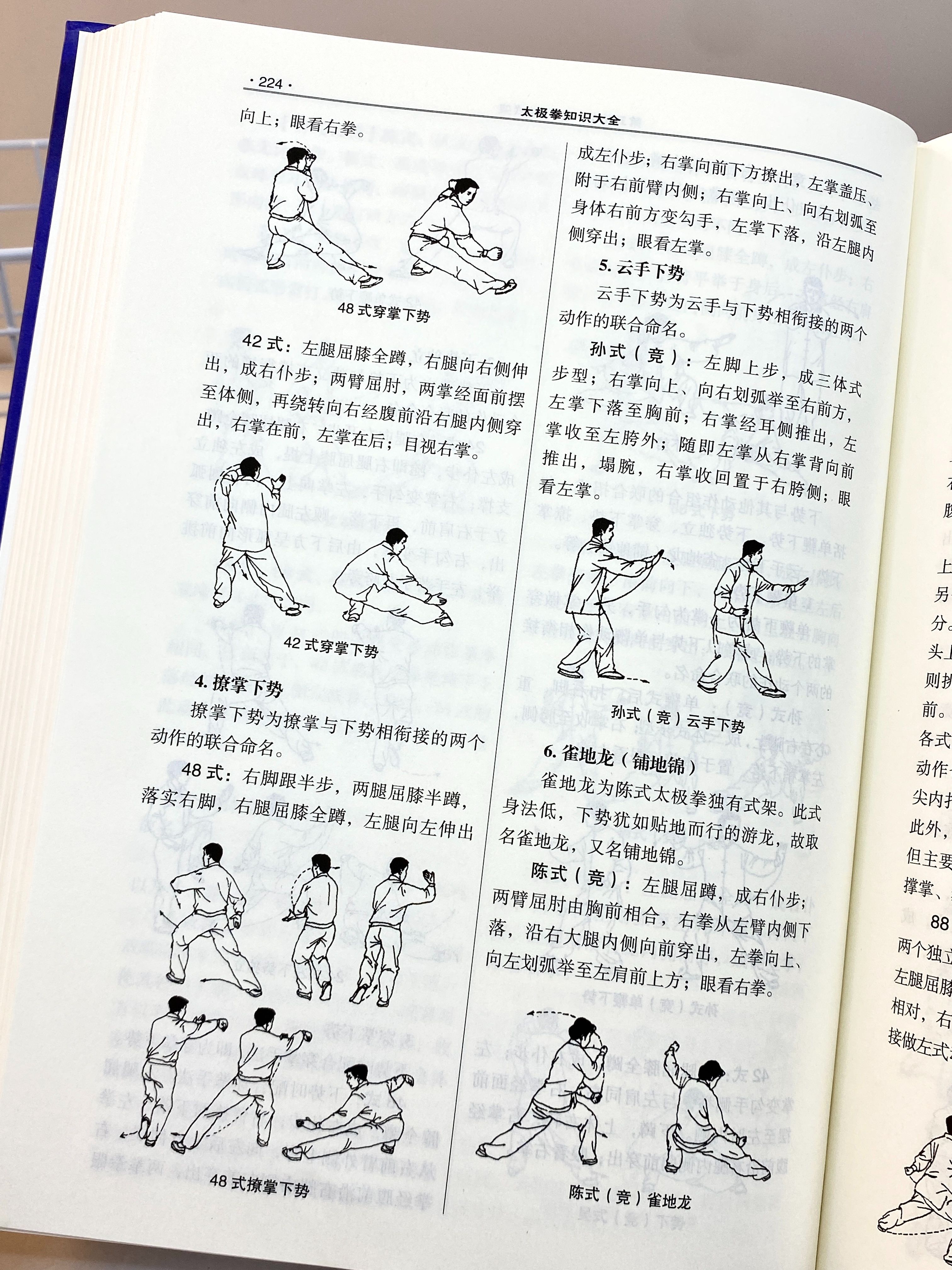 纯阳技能纯阳技能，探索与理解