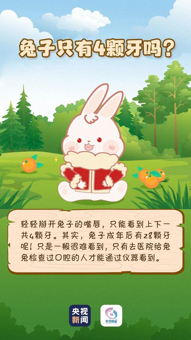 小孩半夜喂姐姐吃萝卜小孩半夜喂姐姐吃萝卜的温馨故事-第3张图片