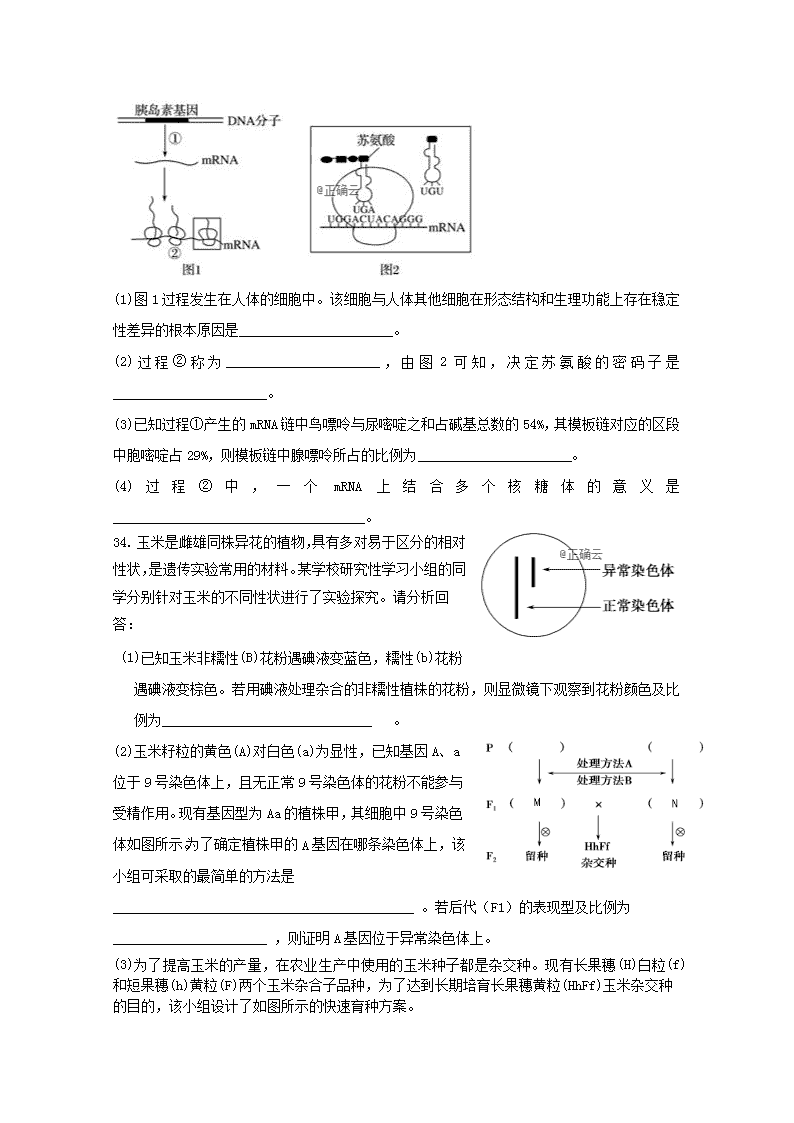 www.b探索网络世界，www.b的奥秘与探索
